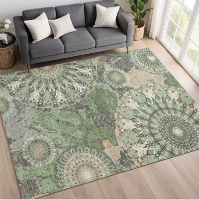 Machine Washable Indoor/Outdoor Norrell ACN2335 Paisley Rug