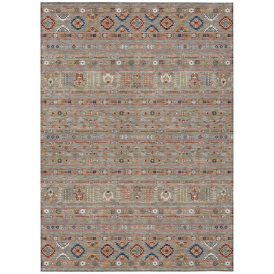 Machine Washable Indoor/Outdoor Brenden ACN2244 Navajo Rug