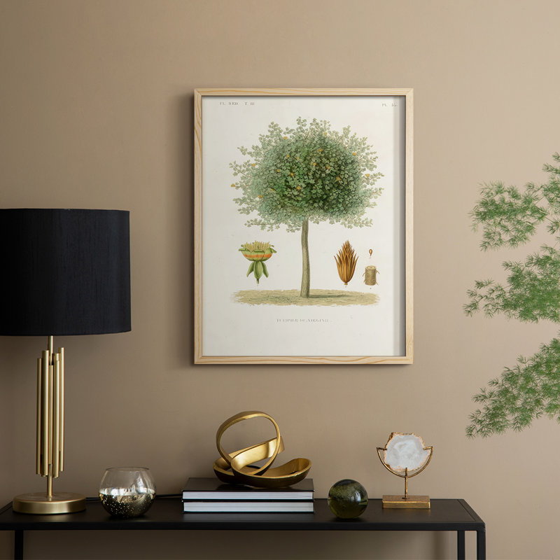 Arbre antique avec fruit X, reproduction encadrée - bois massif, Naturel, H 11 po x l 9 po