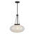 Willow 1-Light Pendant in Matte Black-756342831