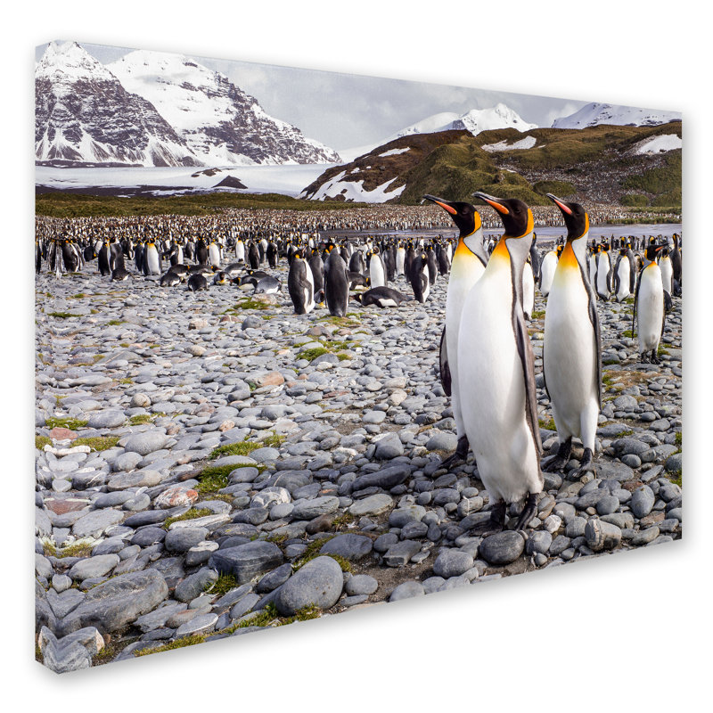 Art mural sur toile tendue - Karen Lunney «Penguins Of Salisbury Plain», art mural pour salon, chambre à coucher ou bureau - 14 x 19