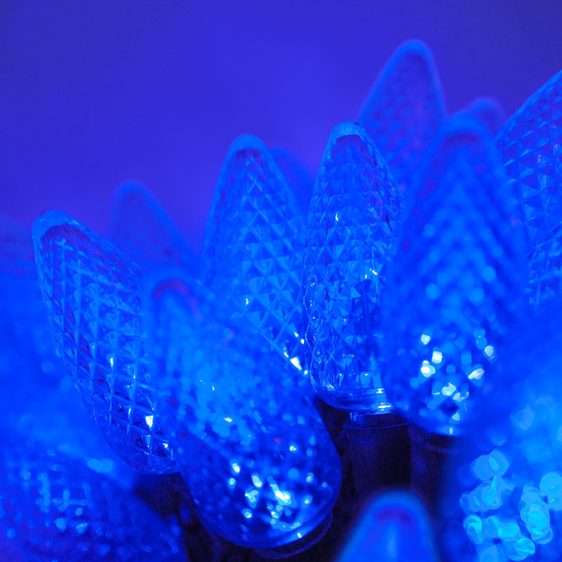 C9 LED Christmas String Light, Blue, 17' L, 25
