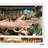 48'' x 18'' x 18'' Reptile Terrarium