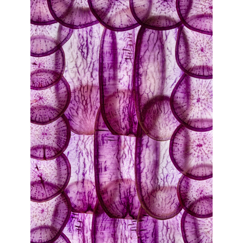 Radishes Print by Harold Davis, 32" H x 24" W , Wrapped Canvas