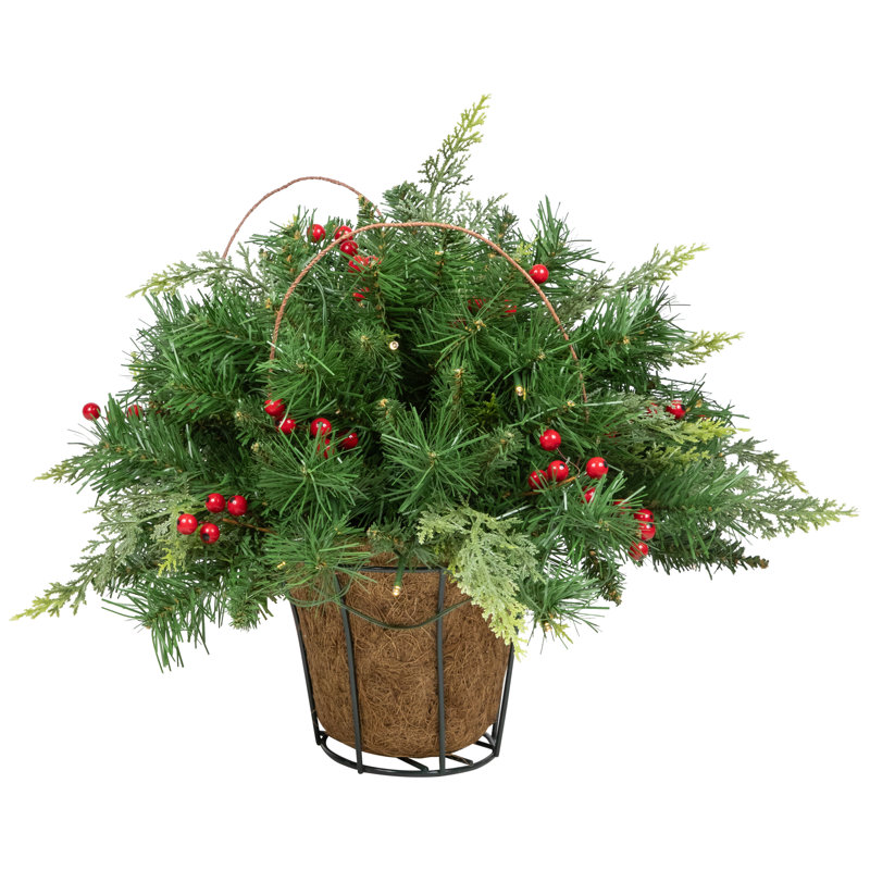Arrangement en panier