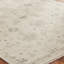 Meladee Wool Floral Area Rug in Ivory-633893124