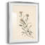Imprimé floral rétro CXCIX - impression encadrée-1081482411