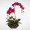 Real Touch Phalaenopsis Orchid with Artificial Succulents Floral Arrangement in Planter
