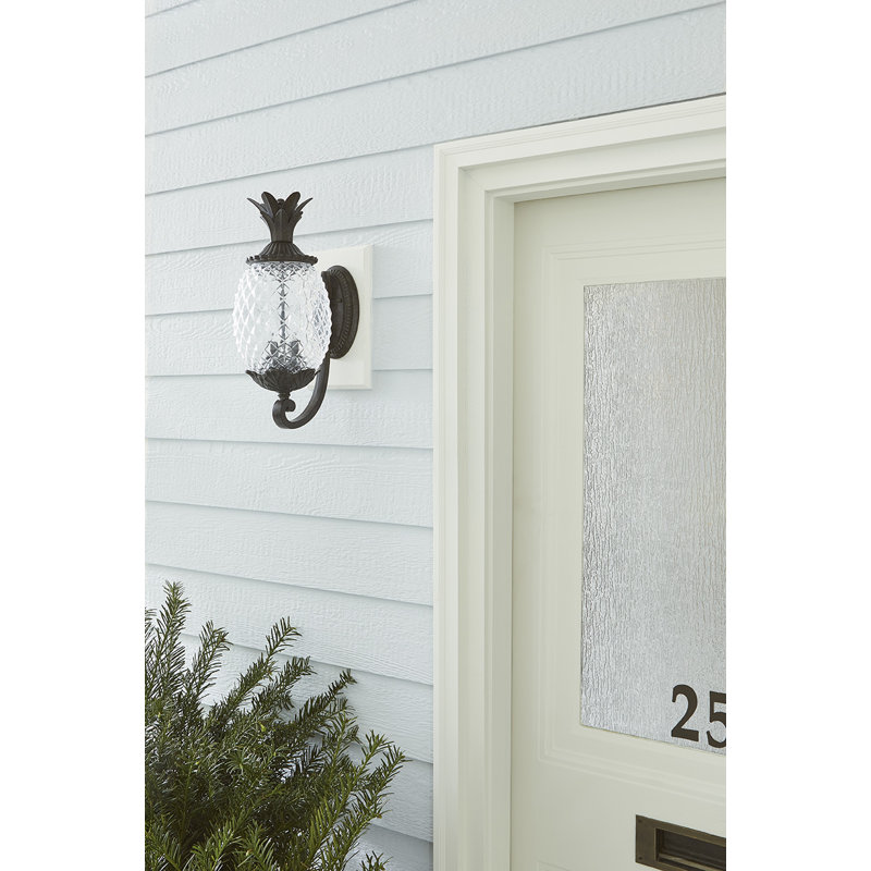 Lanterne murale d'extérieur à 2 ampoules H 18 po Arlesey, Corail noir