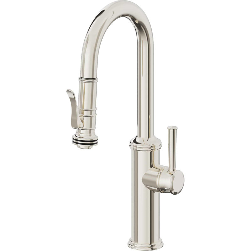 Davoli Kitchen Faucet, Polished Nickel