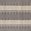 Telluride Laredo Fabric
