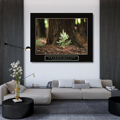 Latitude Run® Frontline Gallery Wrapped Canvas Art Titled: Determination, Little Pine