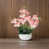 Rose est en rupture de stock