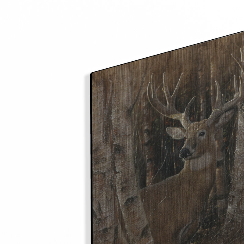 «Birchwood Buck» par Collin Bogle, H 16 po x l 12 po