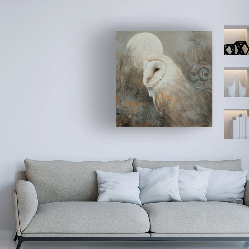 Animals Barn Owl 2 - Wrapped Canvas Print, L 35 po x H 35 po