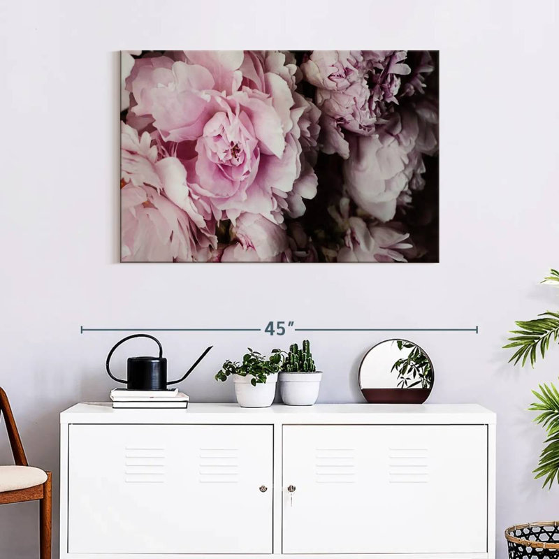 Pivoines Harnek Galore II, H 24 po x l 36 po