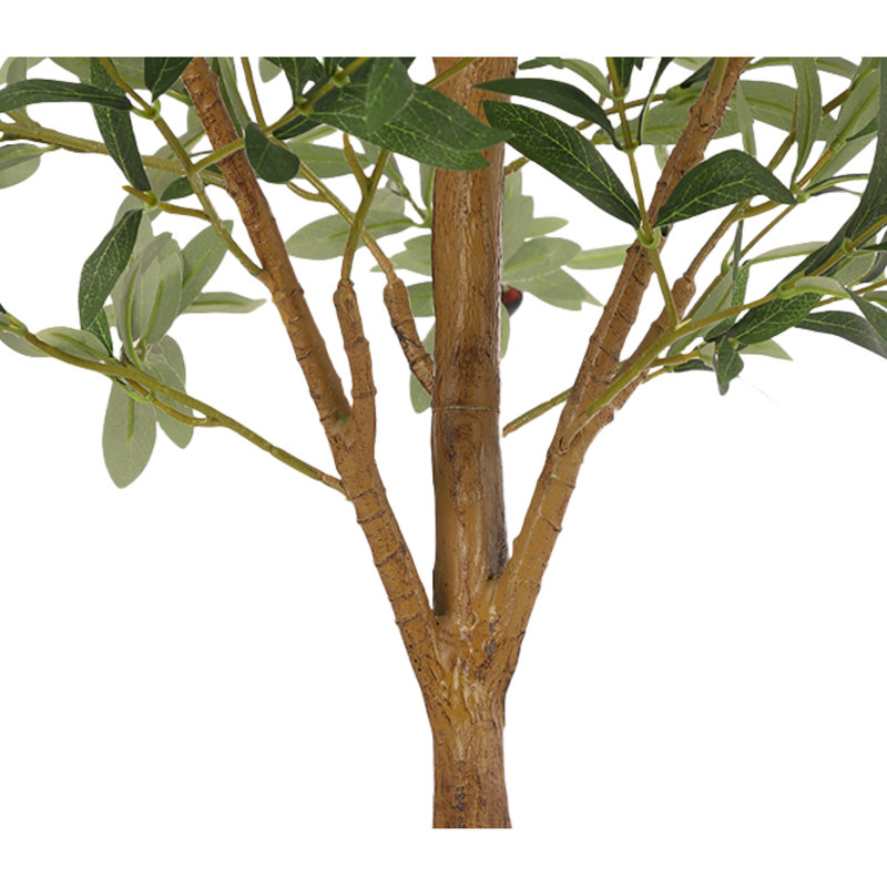 Olive Tree Plant, 70.87cm H x 5cm W x 5cm D