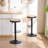Jaina 15.2" W Solid Wood Swivel Adjustable Height Bar Stool-731064503-731064501