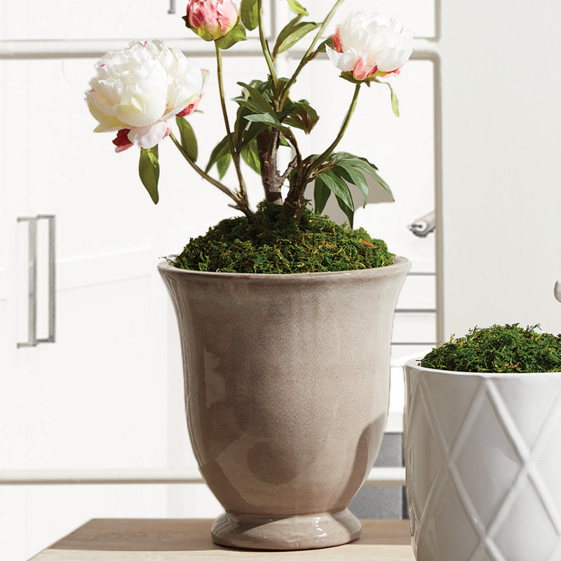 POTS GALE, ENSEMBLE DE 2, Grège