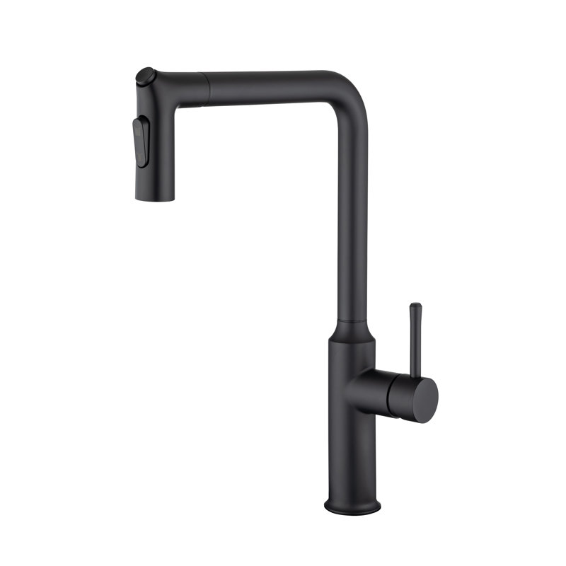 Robinet de cuisine Rainlex, Noir mat