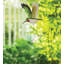 Mobile oiseau en vol - Colibri
