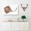 Brown Ray by Edward Donovan - Wrapped Canvas-55362461