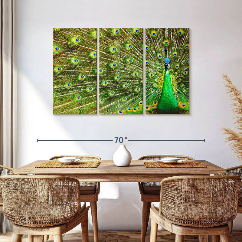 Brampt Showing Off Peacock Feathers, 36" H x 57" W