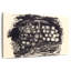 Raisins 1923-1863731955