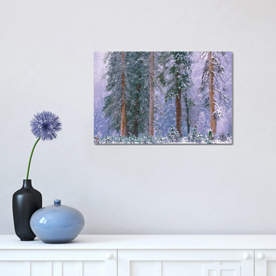 Winter in Yosemite National Park, California 1 Piece Wrapped Canvas Painting