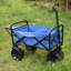 Chariot de plage pliable-123262905