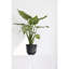Pot à fleurs en plastique recyclé intérieur / extérieur Ecopots Oslo-324821589-324821620