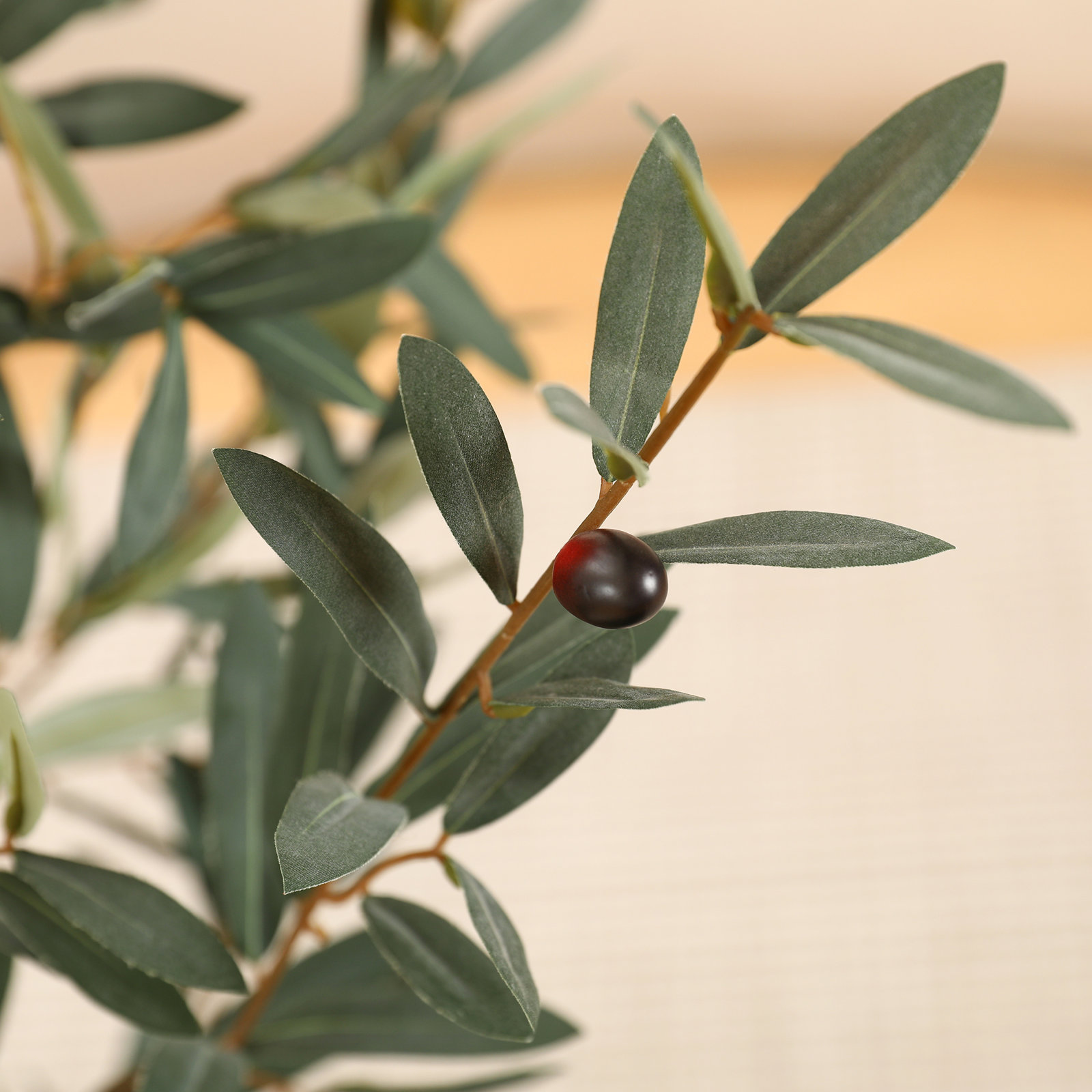 Adcock Olive Tree in Pot, 48" H x 46" W x 46" D
