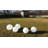 Plug-in Integrated LED Outdoor Globe Light-97766340