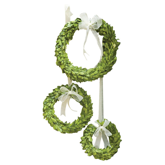 Mills Floral Preserved Boxwood Round Wreath Set with Ribbon