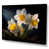 Wrapped Canvas