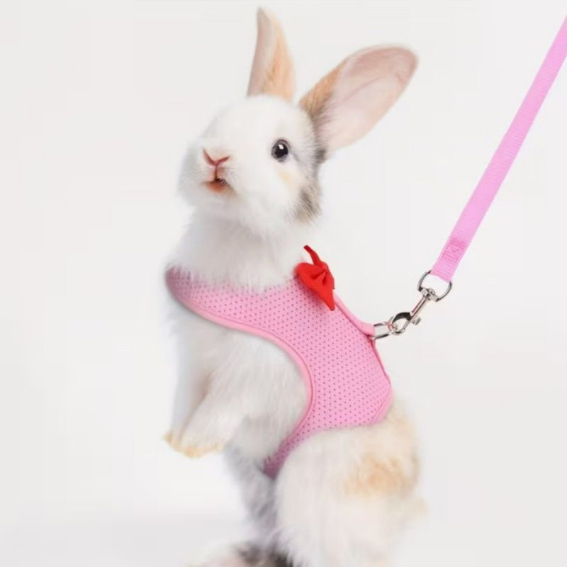Ensemble de harnais et de lapin Rabbit, Rose
