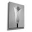 «Calla No. 1» par PhotoINC Studio-1726712591