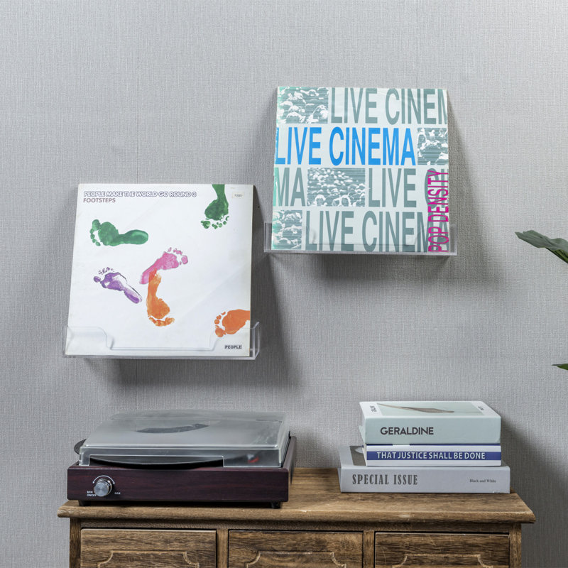 Wall 2 Piece Clear Vinyl Record Storage Rack