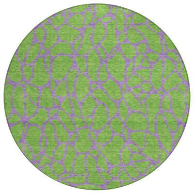 Elowira Green Washable Indoor-Outdoor Rug - 