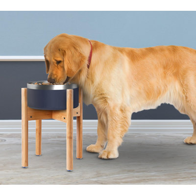 Dog Bowl Stand For Large Dogs (See Size Guide) - Use To Elevate, Raise Dog Food And Water, Deter Ants/Bugs - Expandable Sideways, Fits Various Sizes