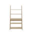 TIVA LADDER BOOKCASE-17613456-123754582