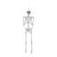 Elize Halloween Decorative Accent