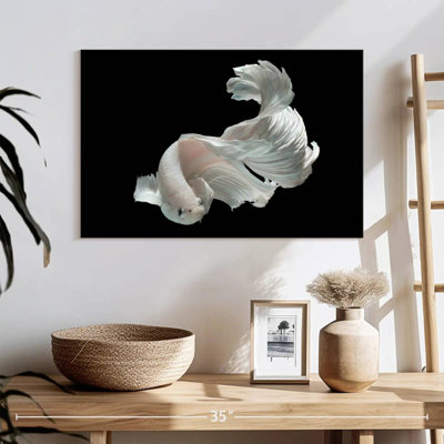 Brampt White Betta Fish