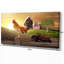 «Country Farm Morning», impression-29496659-35112013
