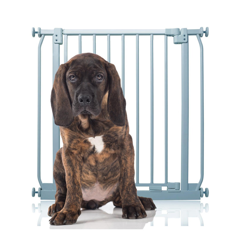 Metal Pressure Mounted Pet Gate, 71cm - 80cm, Grey