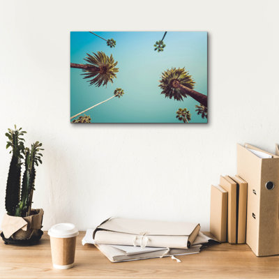 «Palms» par PhotoINC Studio