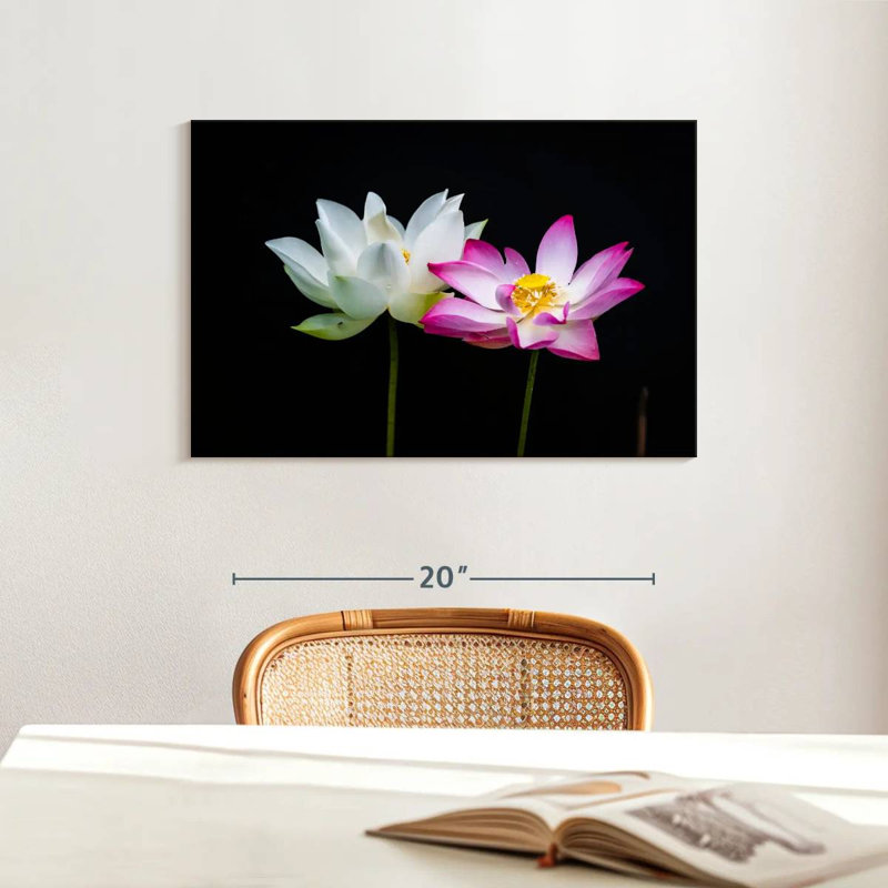 Fleurs de lotus roses et blanches Harnek, H 16 po x l 24 po