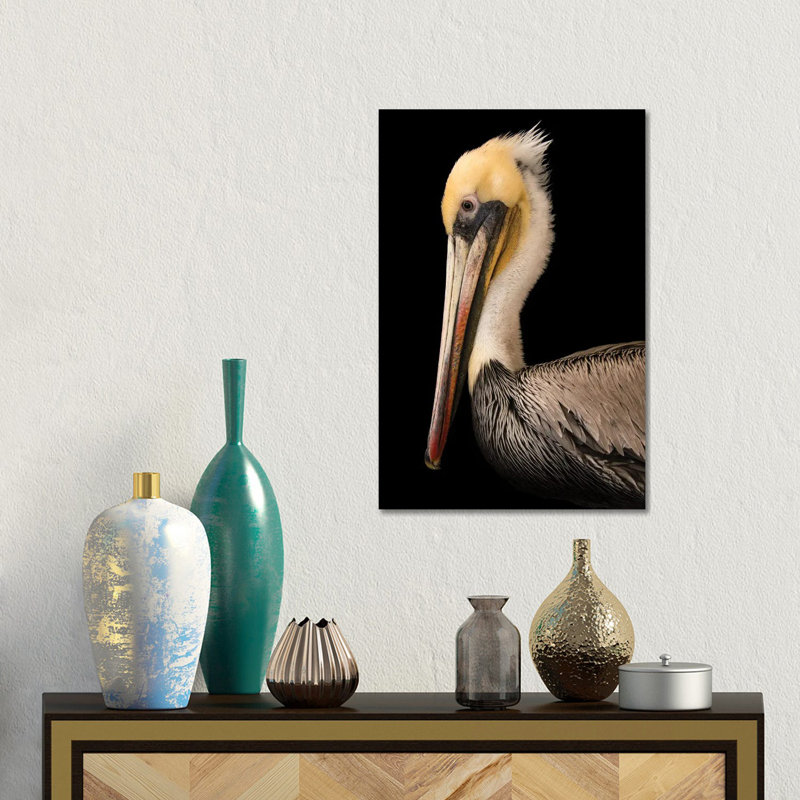 A Brown Pelican At The Santa Barbara Wildlife Care Network 1 Piece Wall Art on Canvas, 30.48 cm H x 45.72 cm W, Canvas