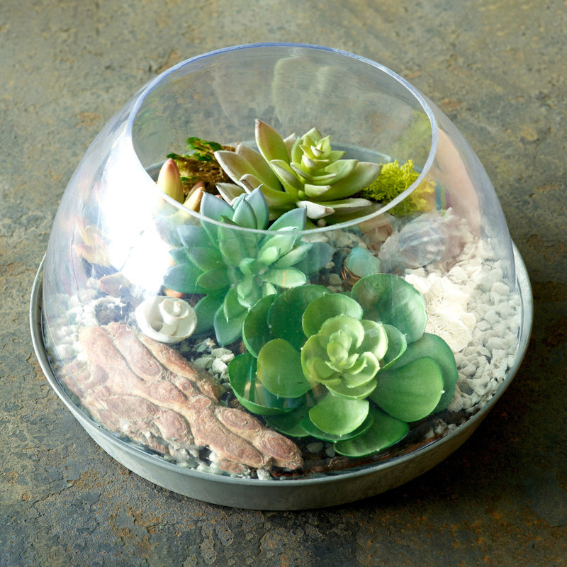 Terrarium en pierre Cumbernauld, H 5,7 po x l 10 po x P 10 po