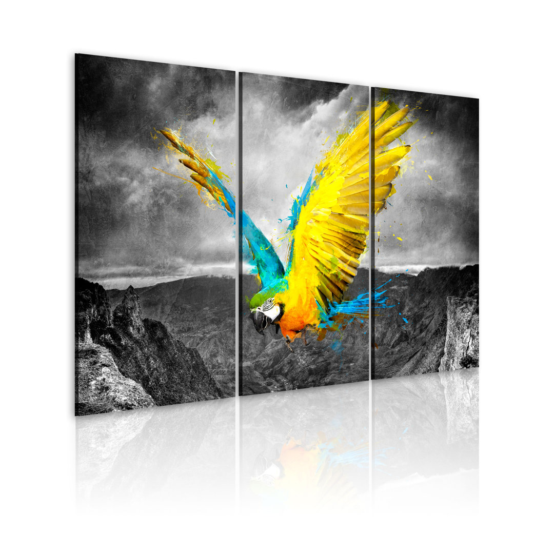 Leinwandbild - Paradiesvogel - Triptychon